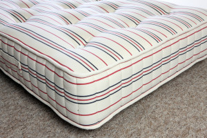 Hiloft static caravan crib 5 fr mattress